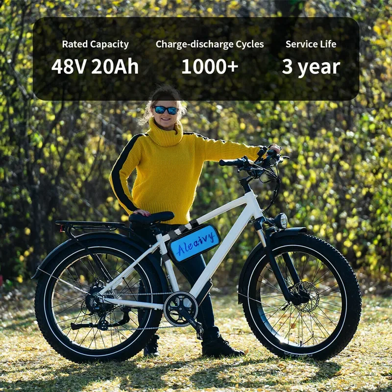 48 V 20AH Yüksek Güç 1000W Elektrikli Bisiklet Pil 48 V 20AH E-bike Pil 48 Volt Lityum bms'li pil 2A Şarj Cihazı Görüntü 5